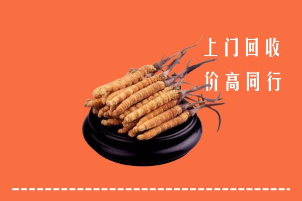 连云港回收散虫草