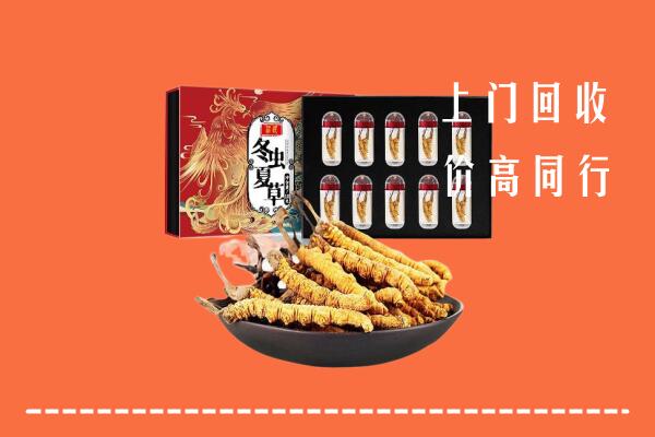 连云港回收虫草